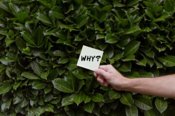 Why use an independent insurance agent?
